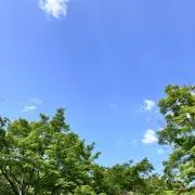 かじまるの画像