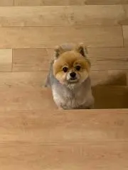 さち