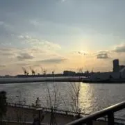 ととの画像