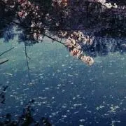 ちょむたろの画像