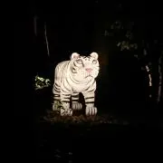 カメタンの画像