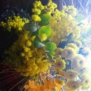 teavickeの画像