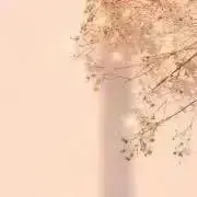 mochi.（プロフ確認お願いします）の画像