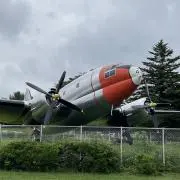 てんまの画像