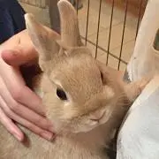 DELL UP2716D adobeRGB100% 元箱あり - メルカリ