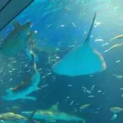 今週は7/2発送　のん☺プロフ必読・必須の画像