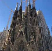 らいの画像