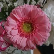 koterinの画像