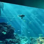 藍。プロフの確認お願いしますの画像