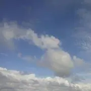 SAKU(プロフ必読!)