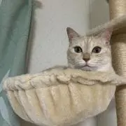 ノッチママの画像