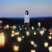 若葉の画像
