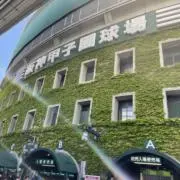 アッキーの画像