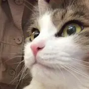 ずこ