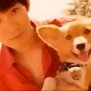 ポドンの画像