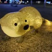 リョウの画像