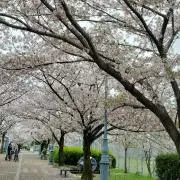 ヴェリ