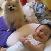 チャタmama