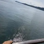 7の画像