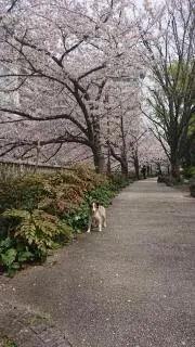 千山