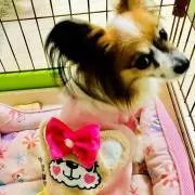 らびたん
