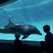 rsy /野球の画像