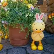 引越し断捨離中！早めに売り切りたいですの画像