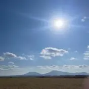 いわたの画像
