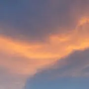 蘭の画像