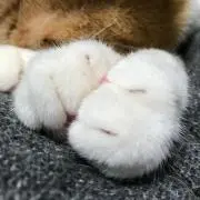 azu