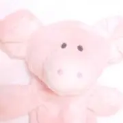 はぴ