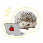 リンゴとハリネズミの画像