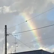 ちびの画像