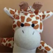 はえこ