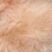 eui♡の画像