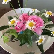 ⭐︎の画像