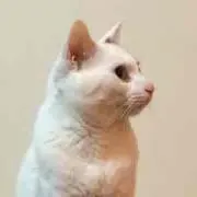 nahoo♪の画像