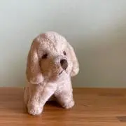ぽつの画像