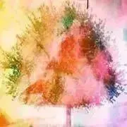 MICOの画像