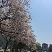 zuchiの画像