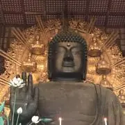諸葛孔明の画像