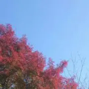 ＊salt＊の画像