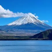 みーごんの画像