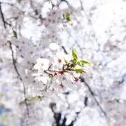 みー⭐︎値下げ交渉OK