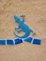mikimoriの画像