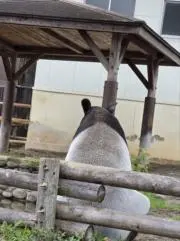 さとみのさっつん＊プロフ必読＊の画像