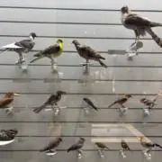 yu☆の画像