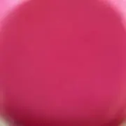 octopusの画像