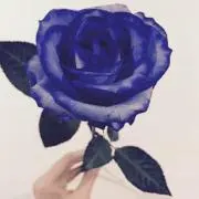 なの画像