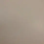 うさぎの画像